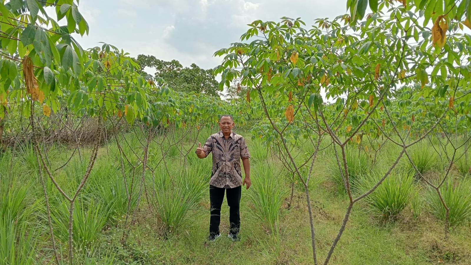 Kegiatan ProKlim 2