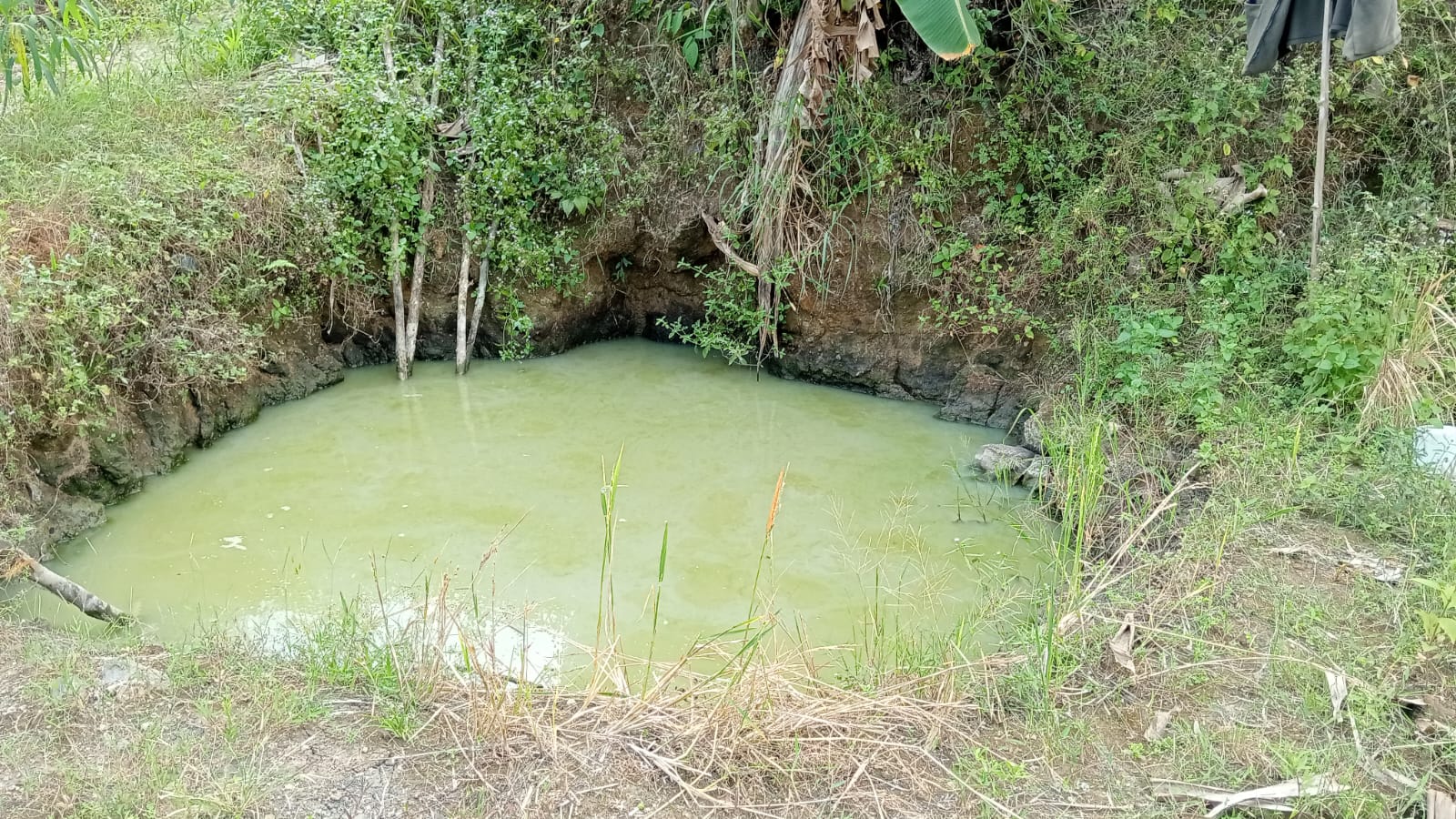 Kegiatan ProKlim 3